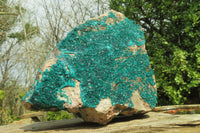 Natural Extra Large Emerald Dioptase Specimen x 1 From Congo - Toprock Gemstones and Minerals 