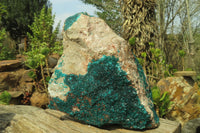 Natural Extra Large Emerald Dioptase Specimen x 1 From Congo - Toprock Gemstones and Minerals 