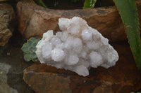 Natural Amethyst Spirit Quartz Cluster x 1 From Boekenhouthoek, South Africa