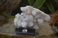 Natural Amethyst Spirit Quartz Cluster x 1 From Boekenhouthoek, South Africa