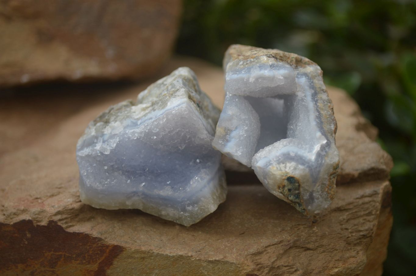 Natural Blue Lace Agate Geode Specimens x 24 From Malawi - Toprock Gemstones and Minerals 