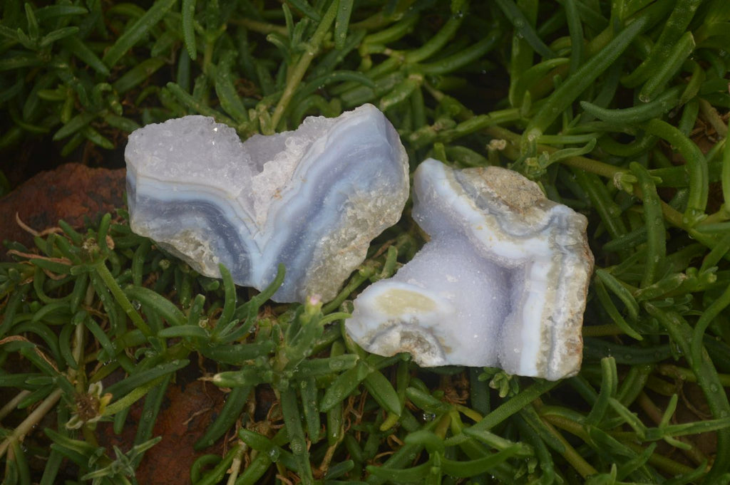 Natural Blue Lace Agate Geode Specimens x 24 From Malawi - Toprock Gemstones and Minerals 