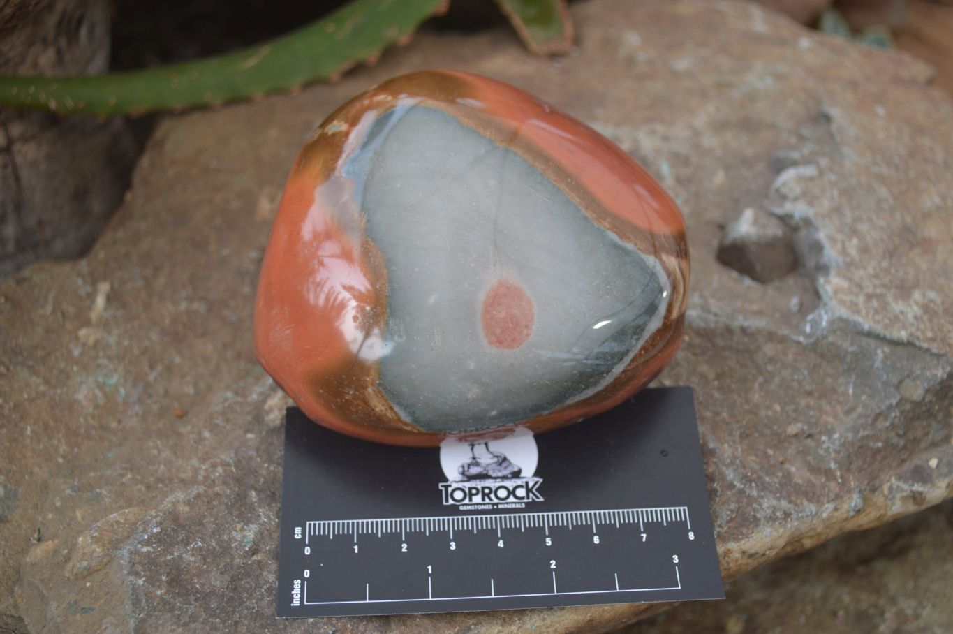 Polished On One Side Polychrome Jasper x 5 From Madagascar - Toprock Gemstones and Minerals 
