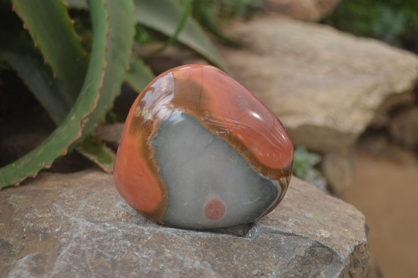 Polished On One Side Polychrome Jasper x 5 From Madagascar - Toprock Gemstones and Minerals 