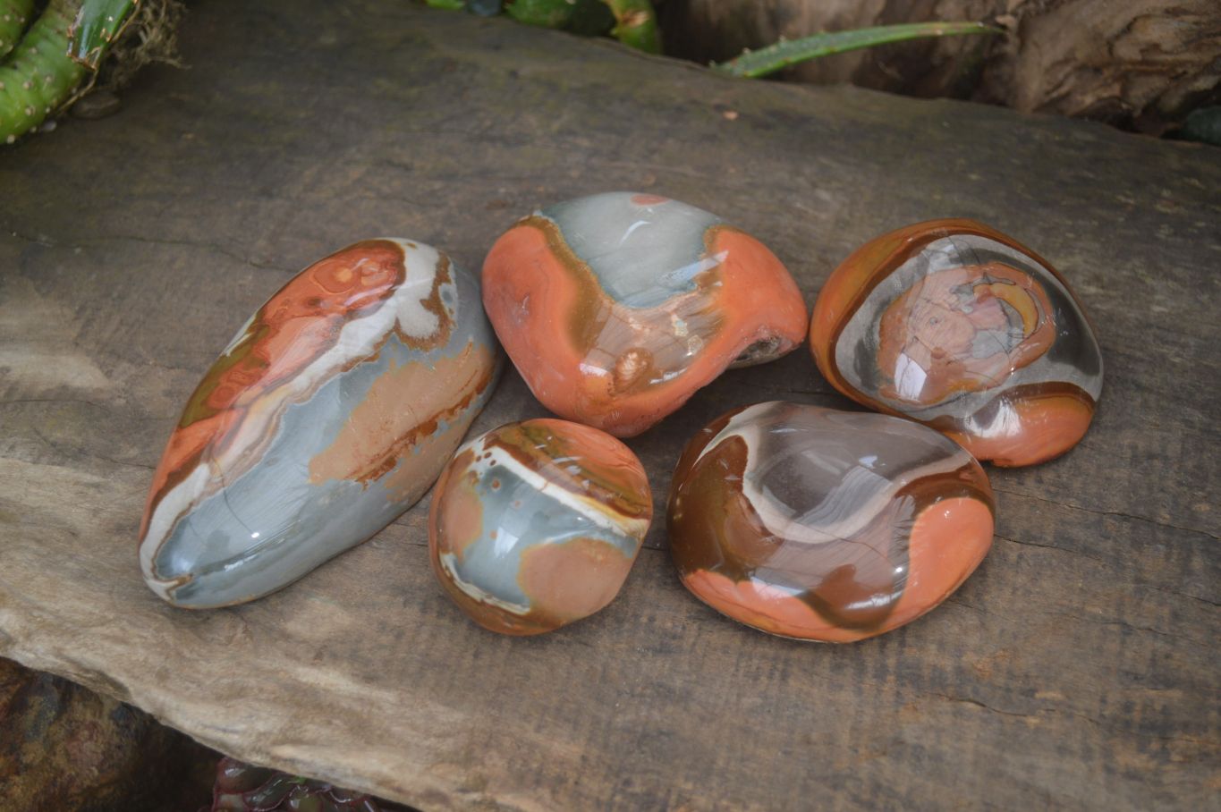 Polished On One Side Polychrome Jasper x 5 From Madagascar - Toprock Gemstones and Minerals 