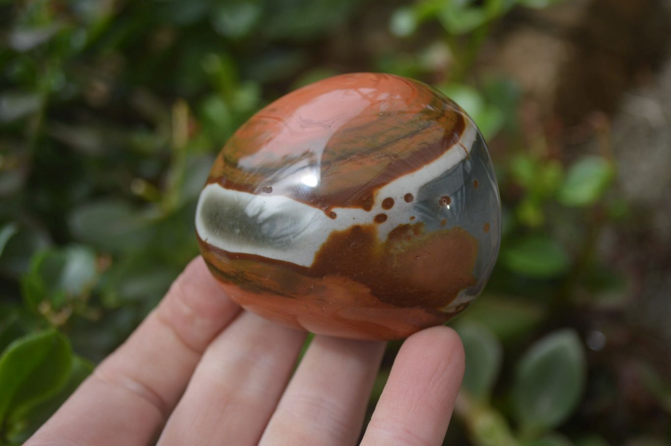Polished On One Side Polychrome Jasper x 5 From Madagascar - Toprock Gemstones and Minerals 