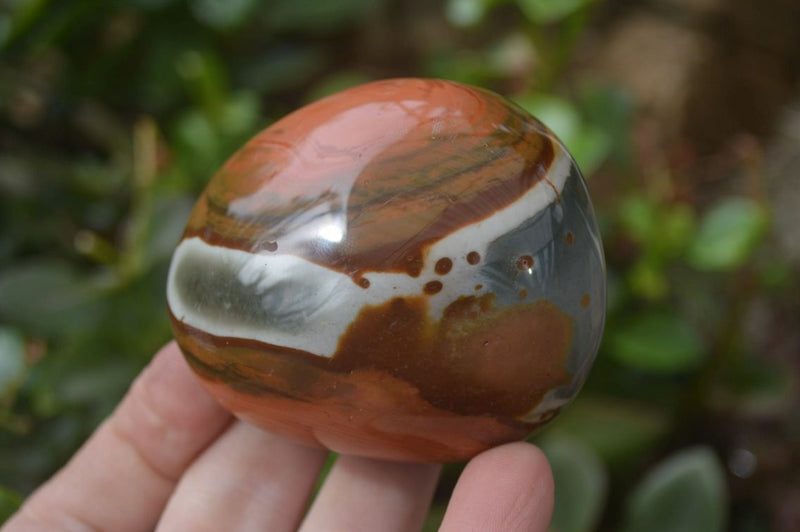 Polished On One Side Polychrome Jasper x 5 From Madagascar - Toprock Gemstones and Minerals 