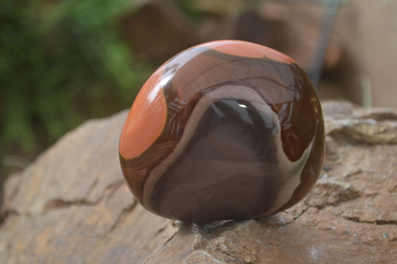 Polished On One Side Polychrome Jasper x 5 From Madagascar - Toprock Gemstones and Minerals 