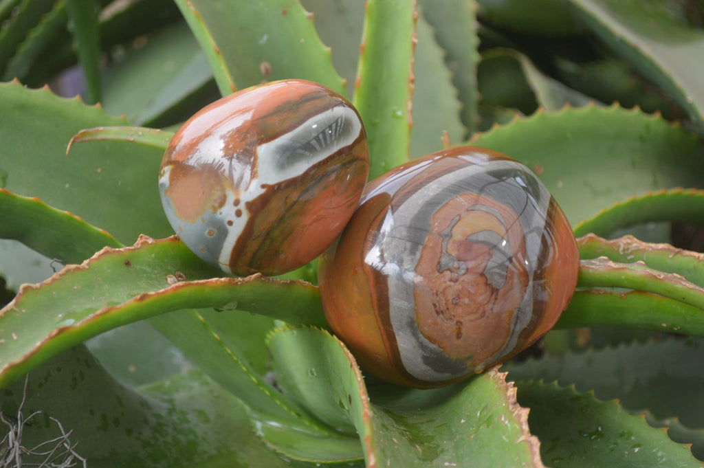 Polished On One Side Polychrome Jasper x 5 From Madagascar - Toprock Gemstones and Minerals 