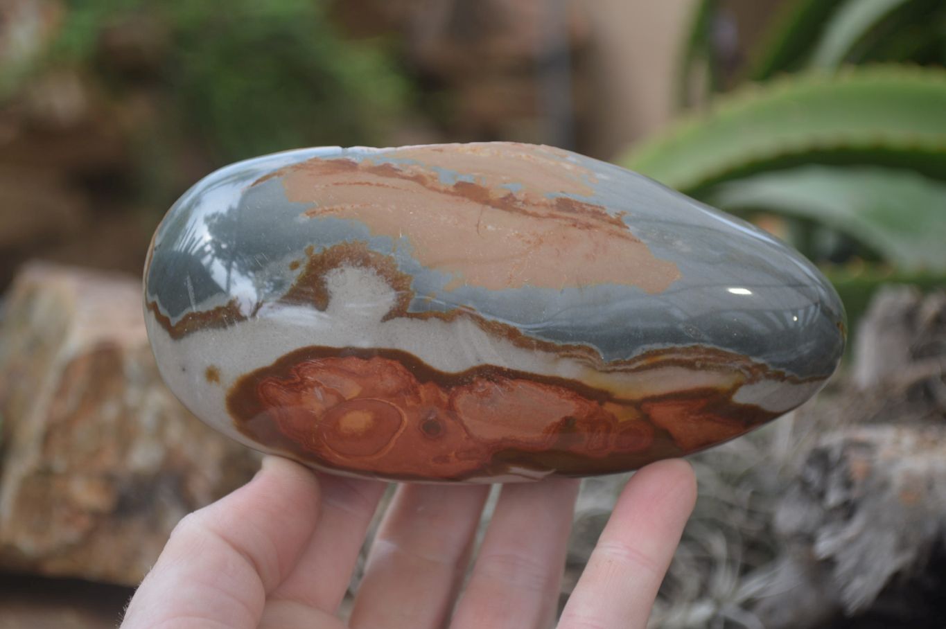 Polished On One Side Polychrome Jasper x 5 From Madagascar - Toprock Gemstones and Minerals 