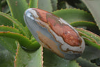 Polished On One Side Polychrome Jasper x 5 From Madagascar - Toprock Gemstones and Minerals 