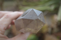 Natural Smokey Quartz Crystals x 4 From Zomba, Malawi - Toprock Gemstones and Minerals 