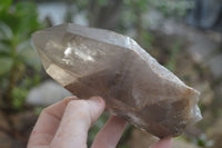 Natural Smokey Quartz Crystals x 4 From Zomba, Malawi - Toprock Gemstones and Minerals 