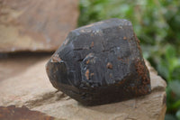 Natural Smokey Quartz Crystals x 4 From Zomba, Malawi - Toprock Gemstones and Minerals 