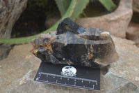 Natural Smokey Quartz Crystals x 4 From Zomba, Malawi - Toprock Gemstones and Minerals 