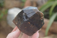 Natural Smokey Quartz Crystals x 4 From Zomba, Malawi - Toprock Gemstones and Minerals 