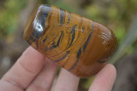 Polished Tiger's Eye Free Forms x 6 From Prieska, South Africa