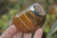 Polished Tiger's Eye Free Forms x 6 From Prieska, South Africa