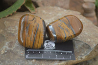 Polished Tiger's Eye Free Forms x 6 From Prieska, South Africa