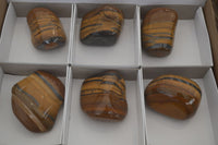 Polished Tiger's Eye Free Forms x 6 From Prieska, South Africa