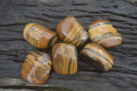 Polished Tiger's Eye Free Forms x 6 From Prieska, South Africa