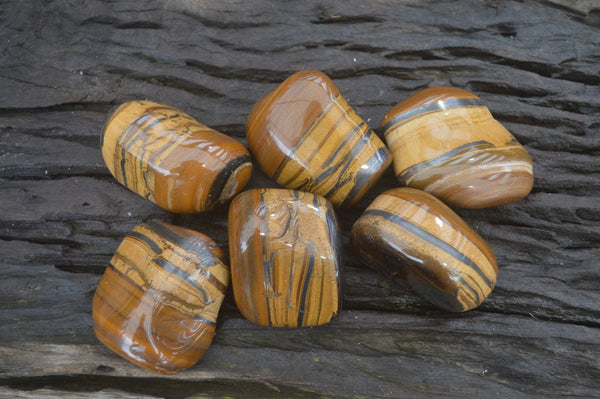 Polished Tiger's Eye Free Forms x 6 From Prieska, South Africa