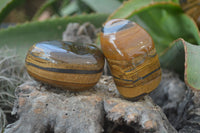 Polished Tiger's Eye Free Forms x 6 From Prieska, South Africa