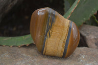 Polished Tiger's Eye Free Forms x 6 From Prieska, South Africa