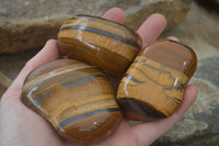 Polished Tiger's Eye Free Forms x 6 From Prieska, South Africa