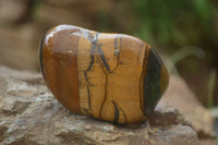 Polished Tiger's Eye Free Forms x 6 From Prieska, South Africa