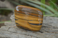 Polished Tiger's Eye Free Forms x 6 From Prieska, South Africa