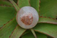 Polished Hematoid Quartz Spheres x 4 From Madagascar - Toprock Gemstones and Minerals 