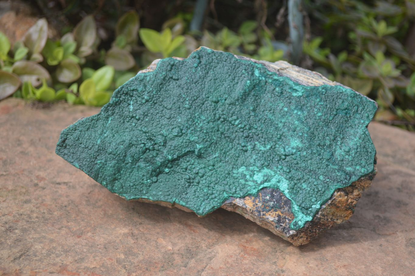 Natural Botryoidal Malachite Specimen x 1 From Tenke Fungurume, Congo - Toprock Gemstones and Minerals 