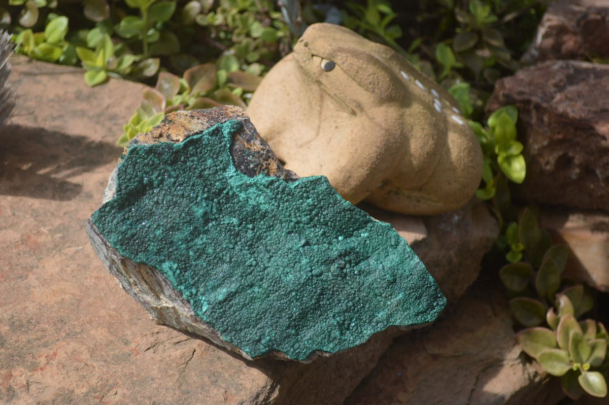 Natural Botryoidal Malachite Specimen x 1 From Tenke Fungurume, Congo - Toprock Gemstones and Minerals 