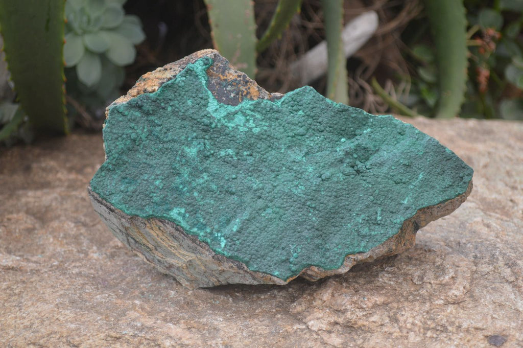 Natural Botryoidal Malachite Specimen x 1 From Tenke Fungurume, Congo - Toprock Gemstones and Minerals 