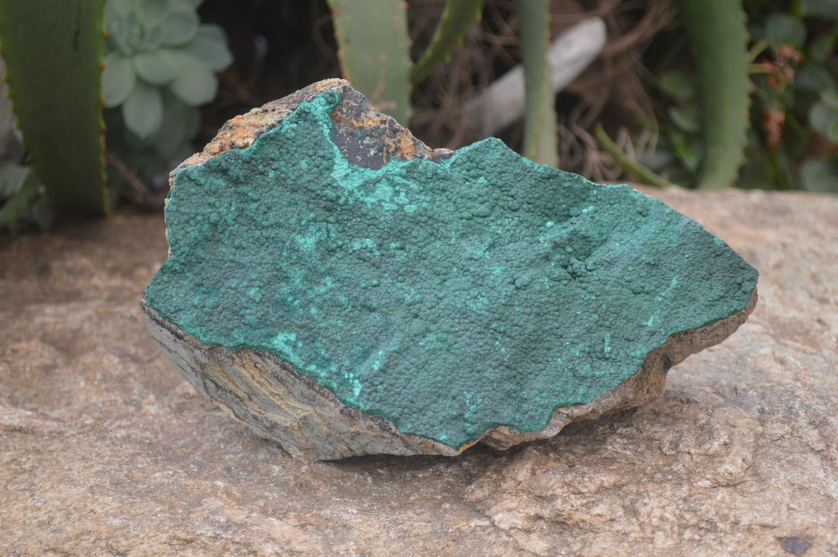 Natural Botryoidal Malachite Specimen x 1 From Tenke Fungurume, Congo - Toprock Gemstones and Minerals 