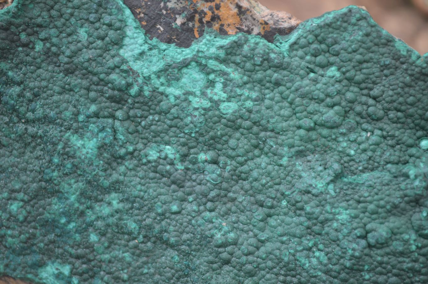 Natural Botryoidal Malachite Specimen x 1 From Tenke Fungurume, Congo - Toprock Gemstones and Minerals 