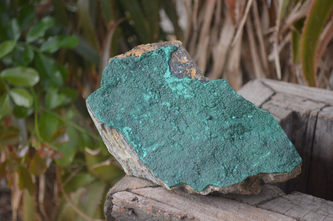 Natural Botryoidal Malachite Specimen x 1 From Tenke Fungurume, Congo - Toprock Gemstones and Minerals 