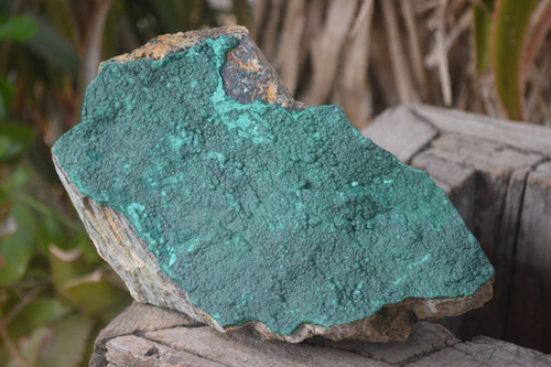 Natural Botryoidal Malachite Specimen x 1 From Tenke Fungurume, Congo - Toprock Gemstones and Minerals 