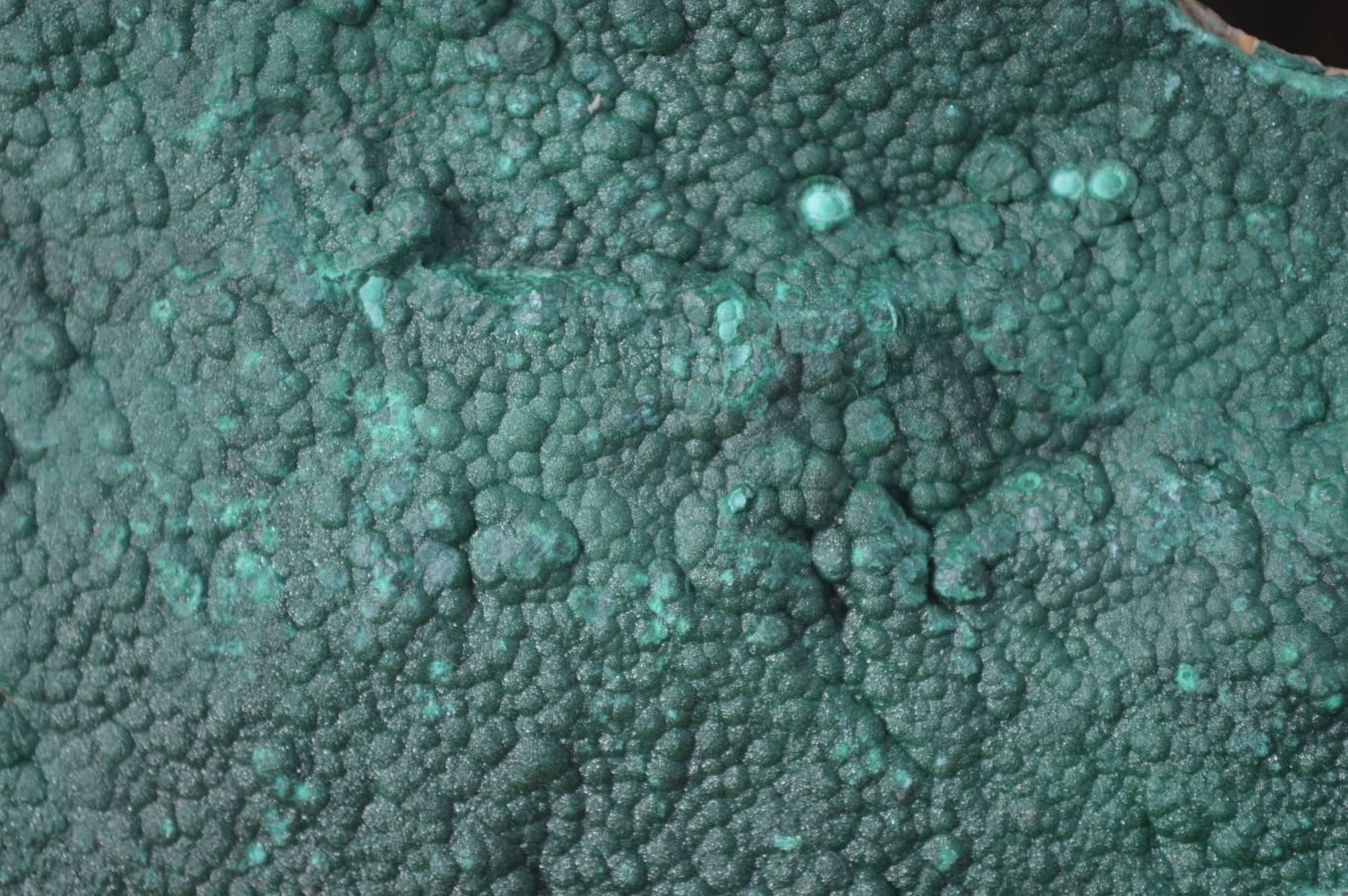 Natural Botryoidal Malachite Specimen x 1 From Tenke Fungurume, Congo - Toprock Gemstones and Minerals 