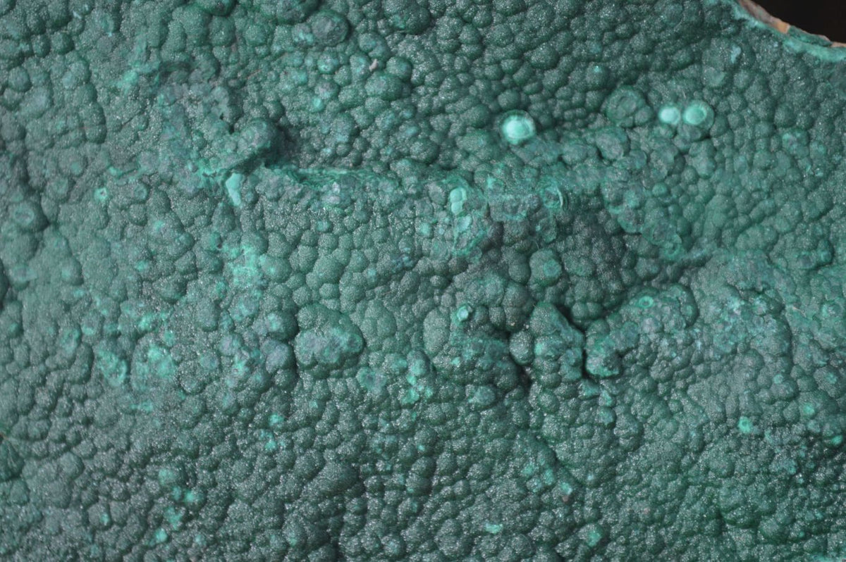 Natural Botryoidal Malachite Specimen x 1 From Tenke Fungurume, Congo - Toprock Gemstones and Minerals 