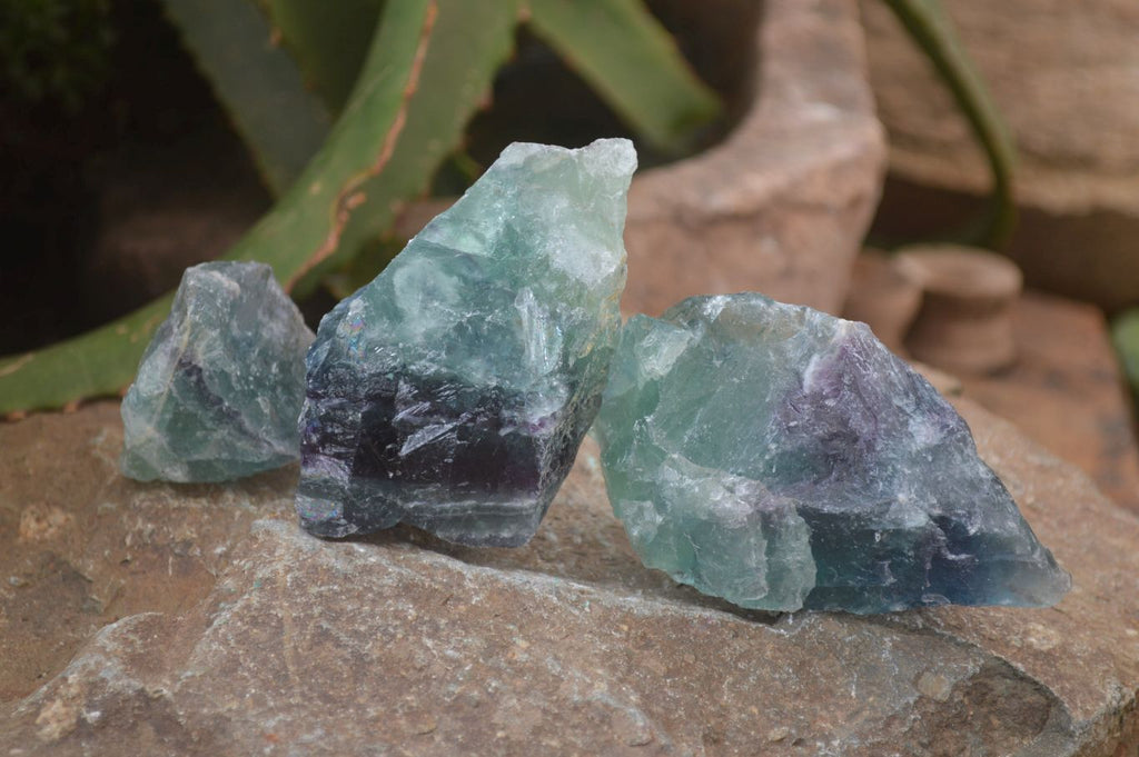 Natural Watermelon Fluorite Cobbed Specimens x 24 From Uis, Namibia - Toprock Gemstones and Minerals 