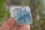 Natural Watermelon Fluorite Cobbed Specimens x 24 From Uis, Namibia - Toprock Gemstones and Minerals 