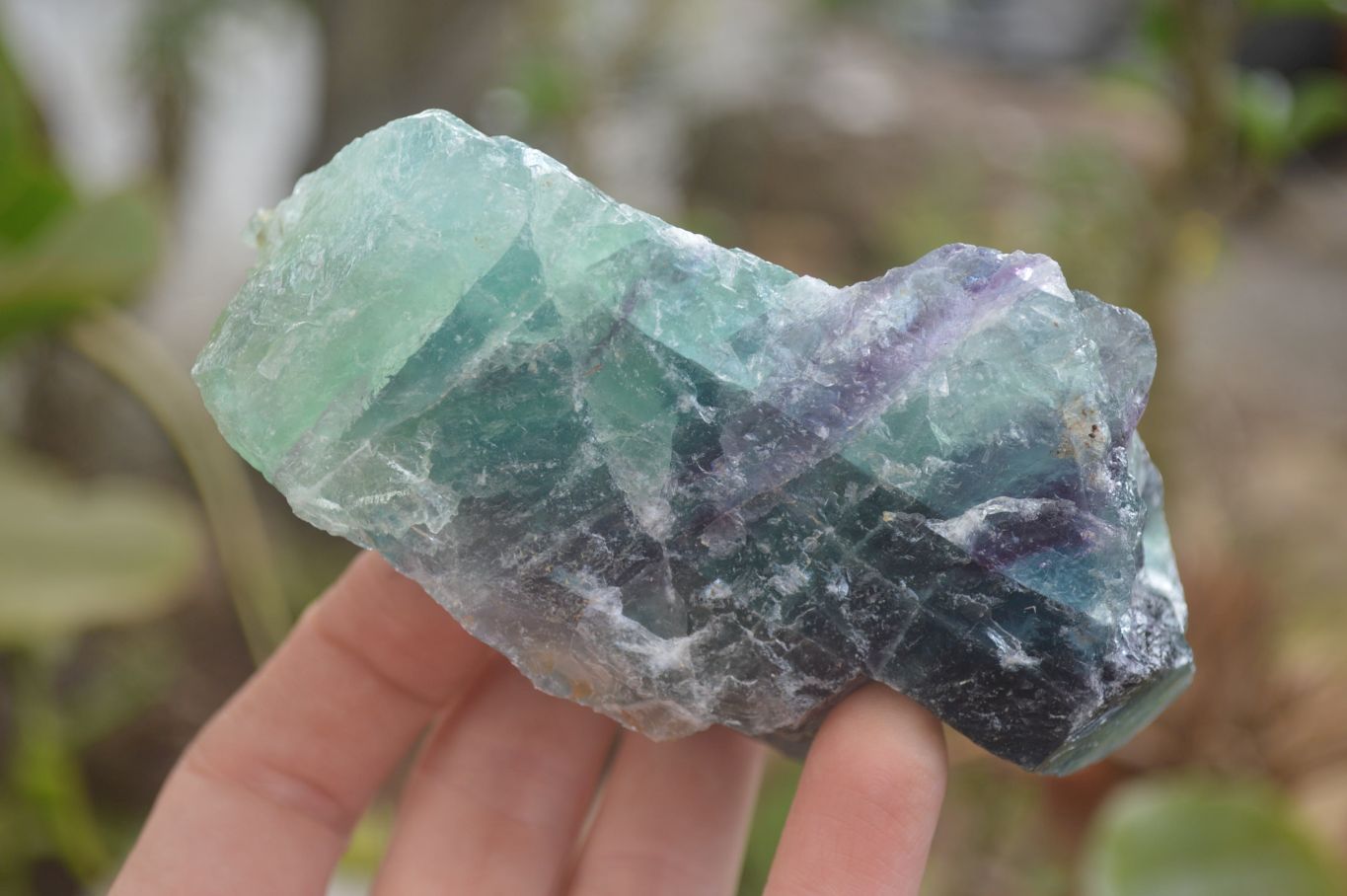 Natural Watermelon Fluorite Cobbed Specimens x 24 From Uis, Namibia - Toprock Gemstones and Minerals 