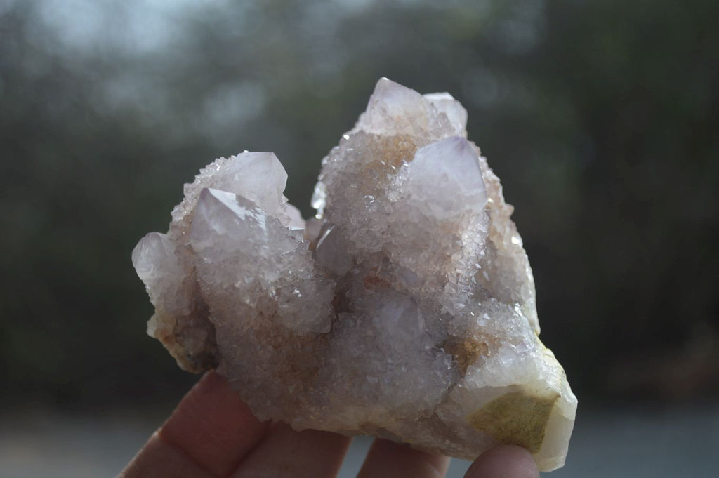 Natural Spirit Quartz Clusters x 2 From Boekenhouthoek, South Africa - Toprock Gemstones and Minerals 