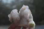 Natural Spirit Quartz Clusters x 2 From Boekenhouthoek, South Africa - Toprock Gemstones and Minerals 