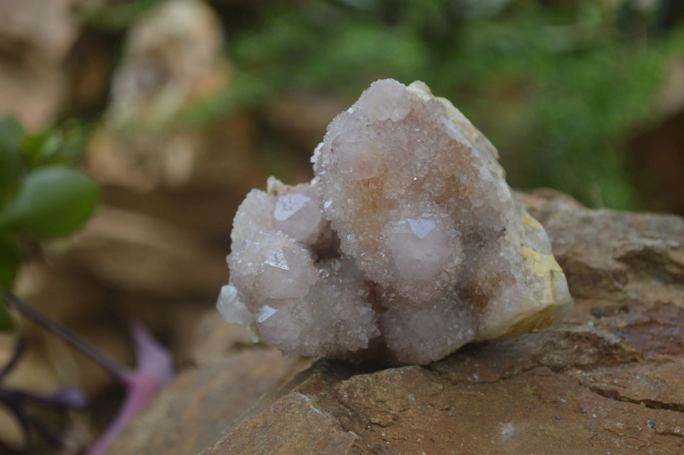 Natural Spirit Quartz Clusters x 2 From Boekenhouthoek, South Africa - Toprock Gemstones and Minerals 