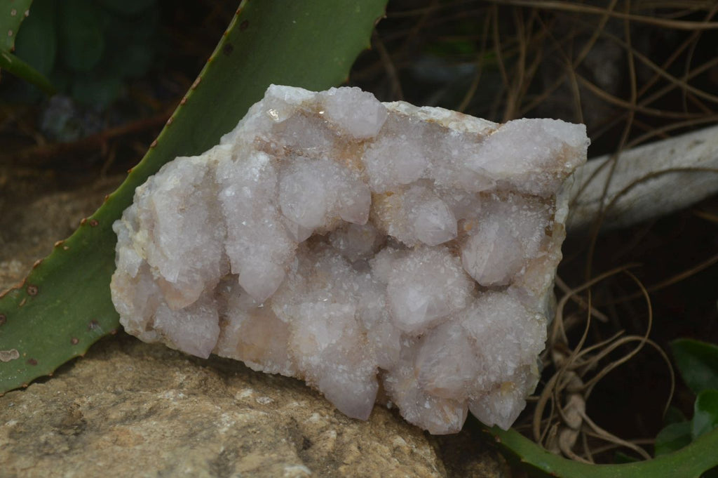 Natural Spirit Quartz Clusters x 2 From Boekenhouthoek, South Africa - Toprock Gemstones and Minerals 