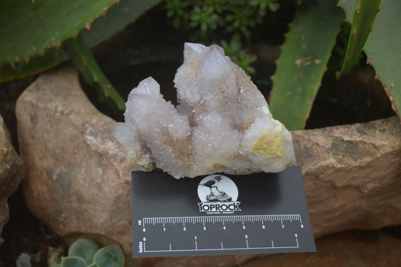 Natural Spirit Quartz Clusters x 2 From Boekenhouthoek, South Africa - Toprock Gemstones and Minerals 