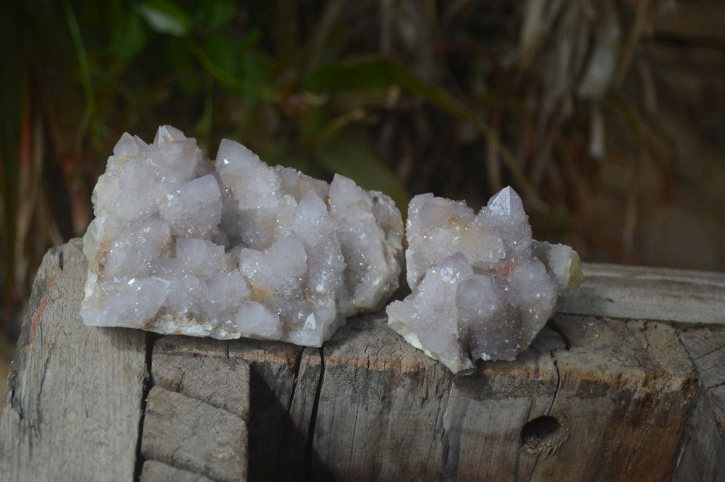 Natural Spirit Quartz Clusters x 2 From Boekenhouthoek, South Africa - Toprock Gemstones and Minerals 